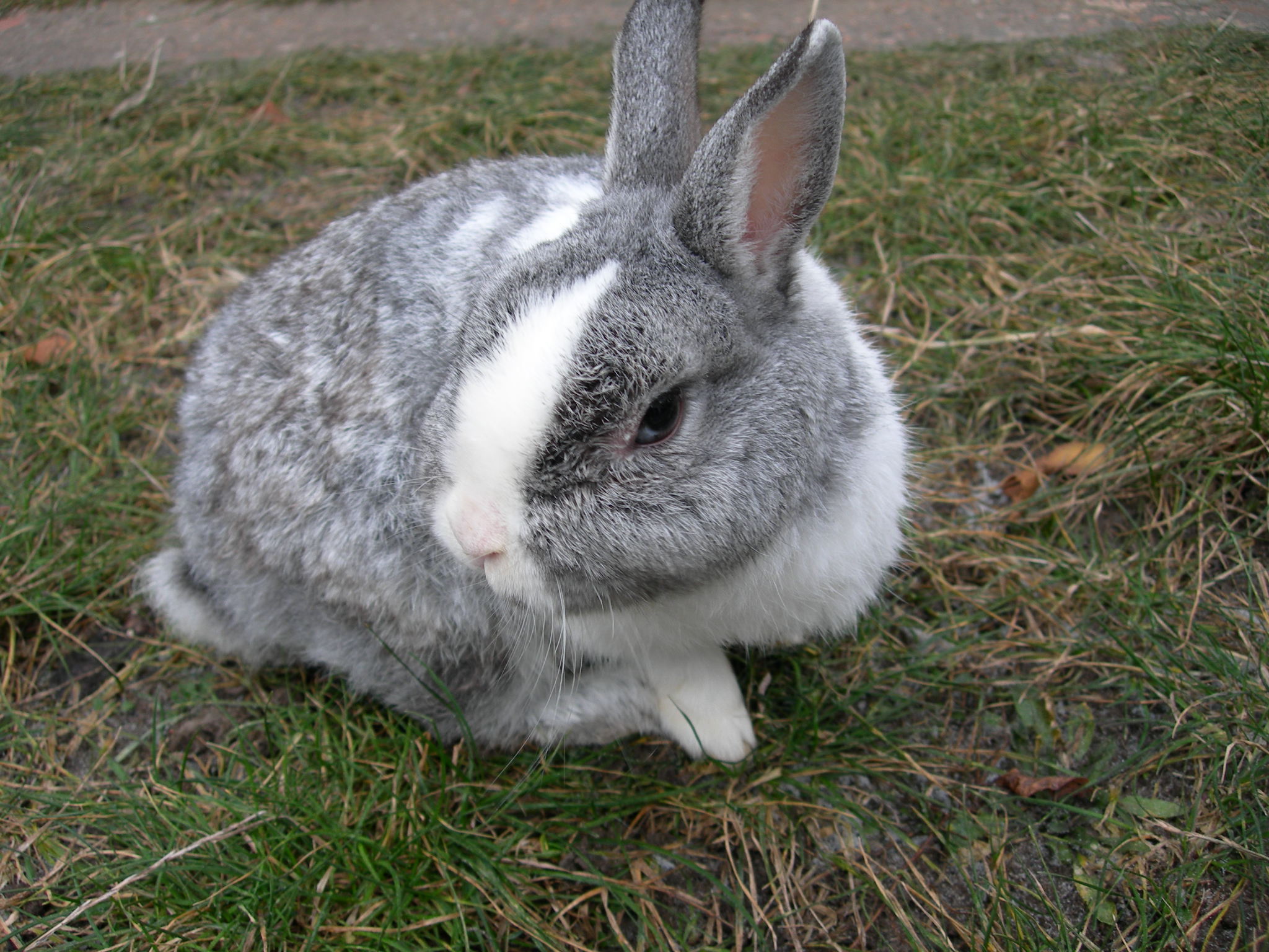 DSCN0064.JPG