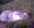 070827_170238.jpg